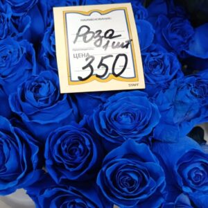 Роза синяя Эквадор 60 см