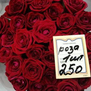Роза Ред Наоми Россия 50 см