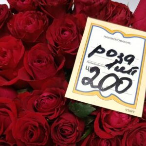 Ред Наоми 40 см
